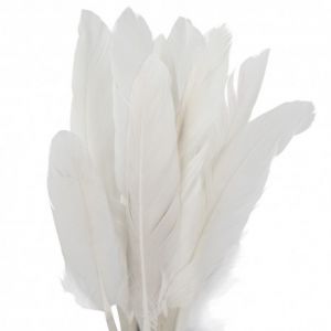 Piórka lotki Czakos 15cm, Białe